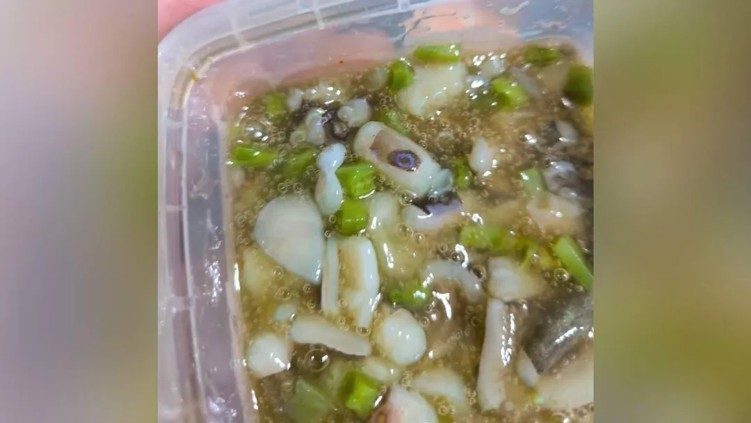 網友疑似誤食藍環章魚。（圖／翻攝爆廢公社公開版）