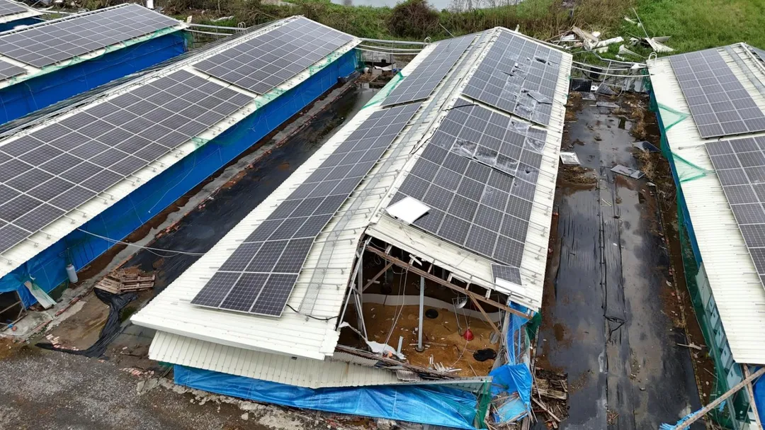 嘉義縣政府產業發展科表示，目前仍在持續彙整這次漁電共生的災損狀況，業者與台電尚未正式提報災損情形。（圖/翻攝畫面）