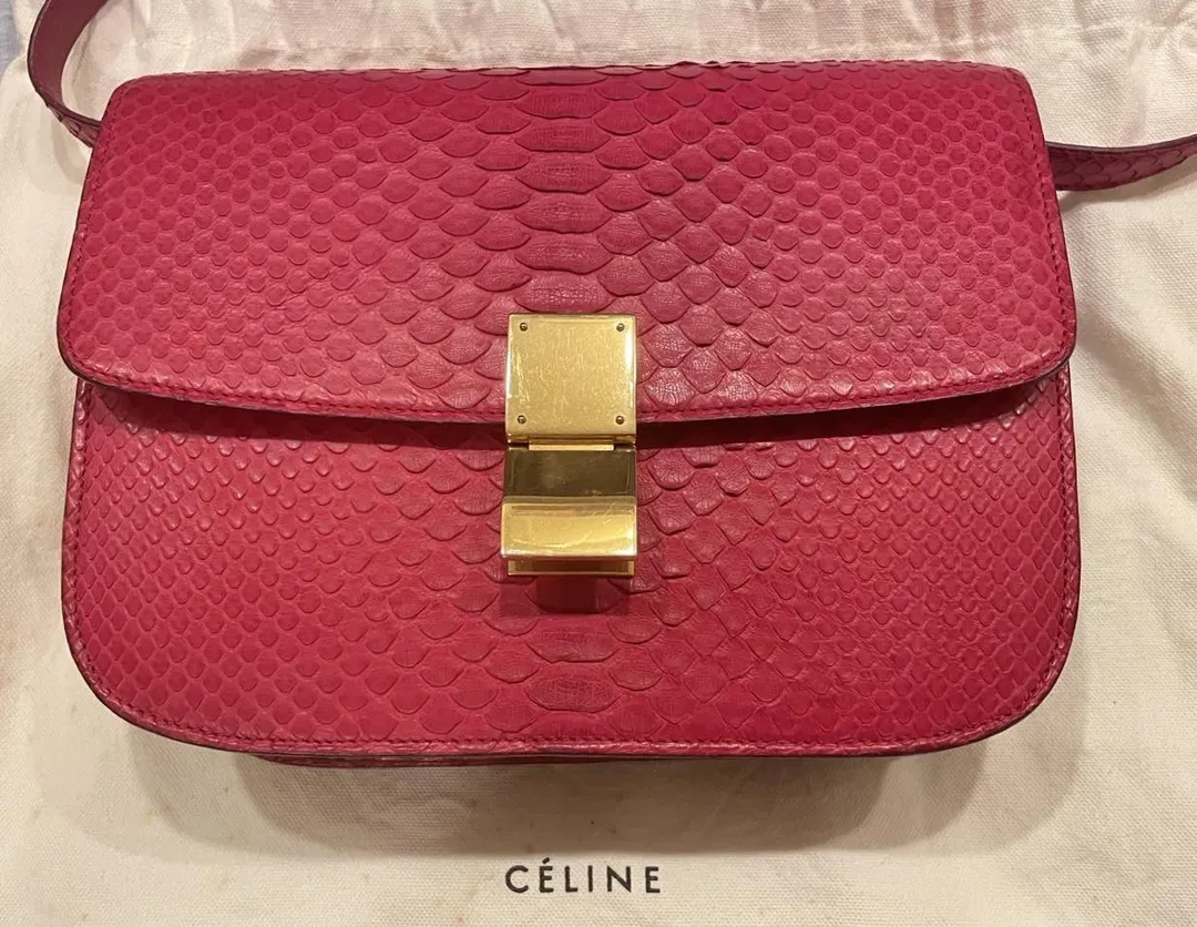 L小姐遭損壞的CELINE蛇皮包。（圖／翻攝畫面）