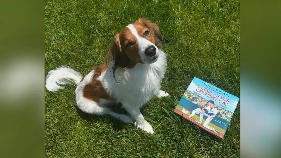 大谷翔平以愛犬為主角出書。(圖/翻攝自大谷翔平IG)