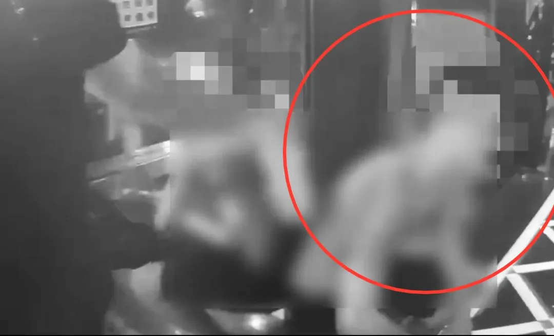男子刺死姊夫遭警方當場逮捕。（圖／翻攝畫面）