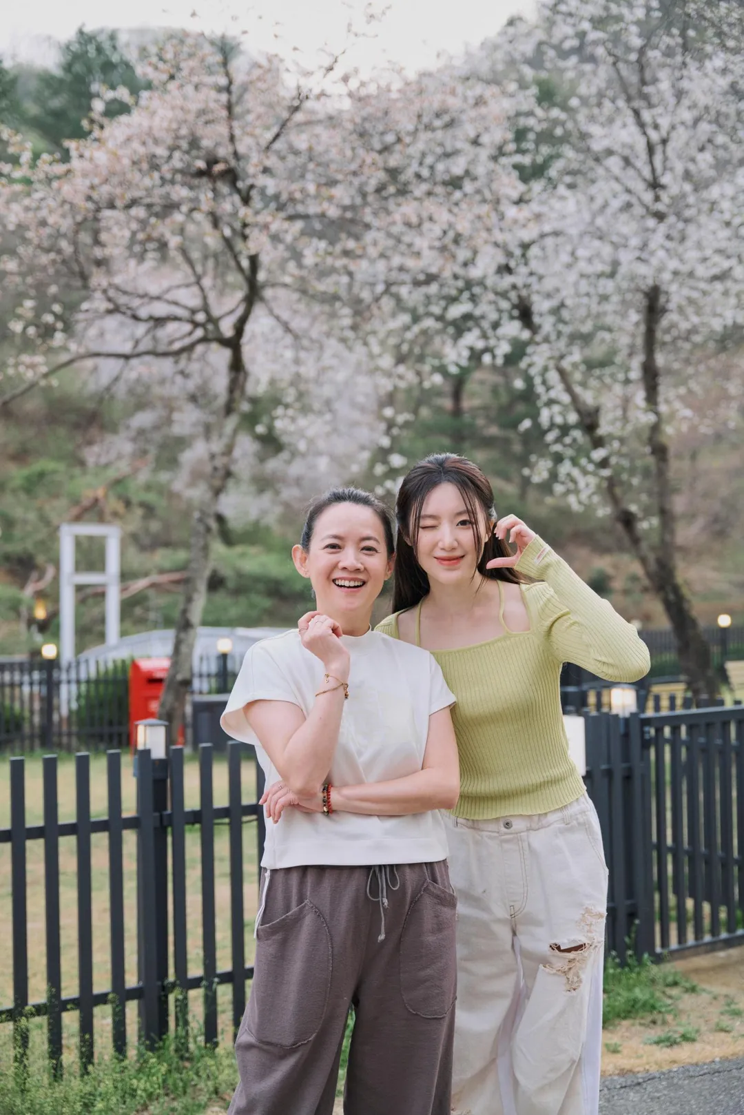 曾寶儀(左)日前赴韓國訪問舒華(右)。(圖/三立 、MyVideo提供)