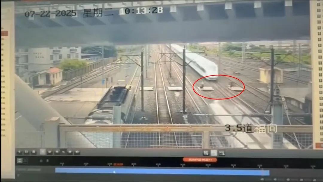 見雙向列車直衝過來,一人留在原地、一人急奔逃。(圖/翻攝極目新聞)