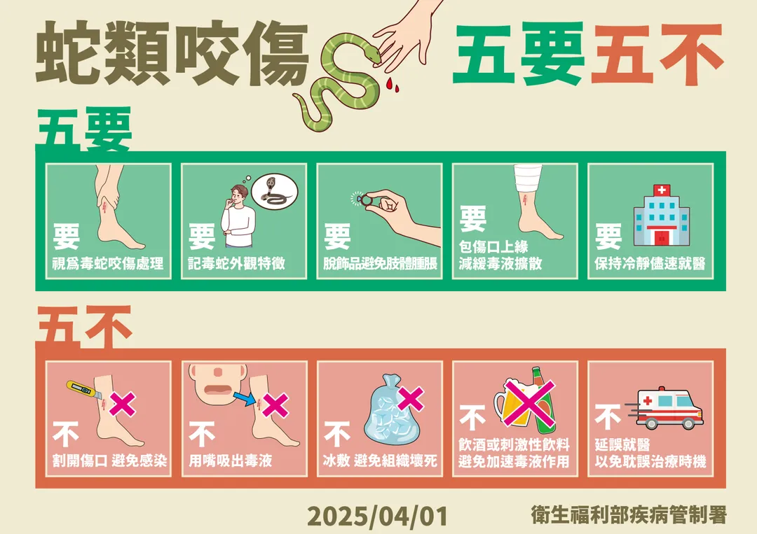 疾管署特別提醒民眾，若不慎被毒蛇咬傷，應謹記「五要五不」原則。（圖／疾管署）