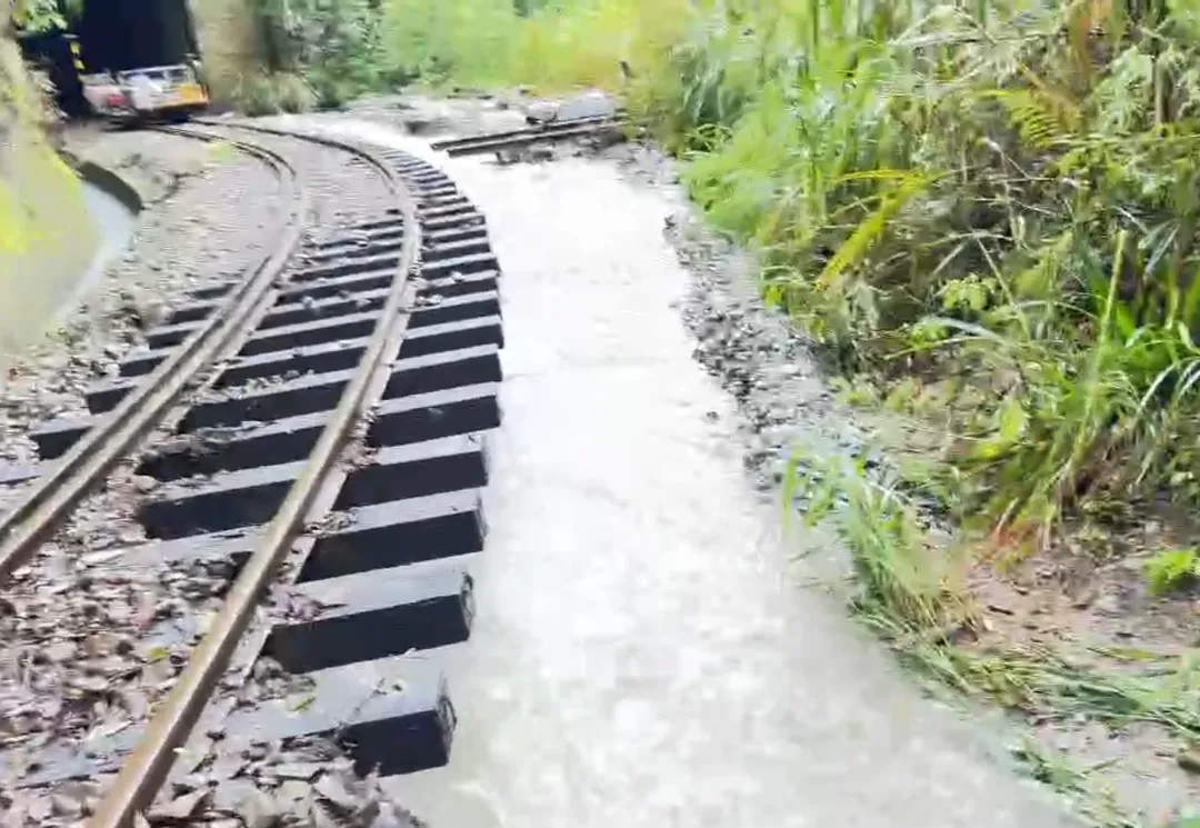 大量雨水排水不及，在林鐵軌道旁聚成小溪一般。（圖／林鐵及文資處提供）