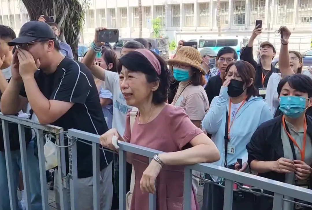 陳佩琪。(圖/中天新聞)