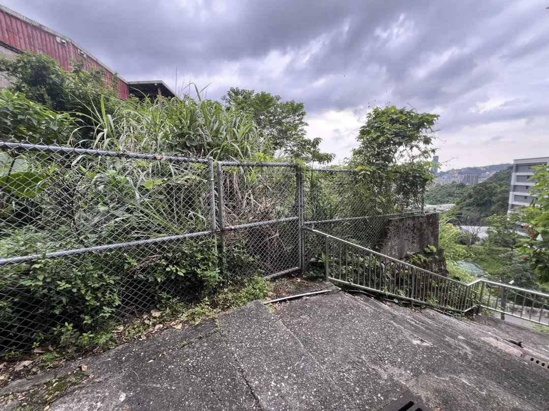 基隆市仁愛區獅球嶺步道近期出現大量蛇類。（圖／民眾提供）