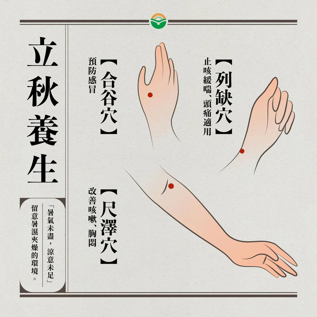 魏僑建議，可以針對三個穴道，用吹風機吹10～20秒作為保健。（圖／馬光中醫診所）