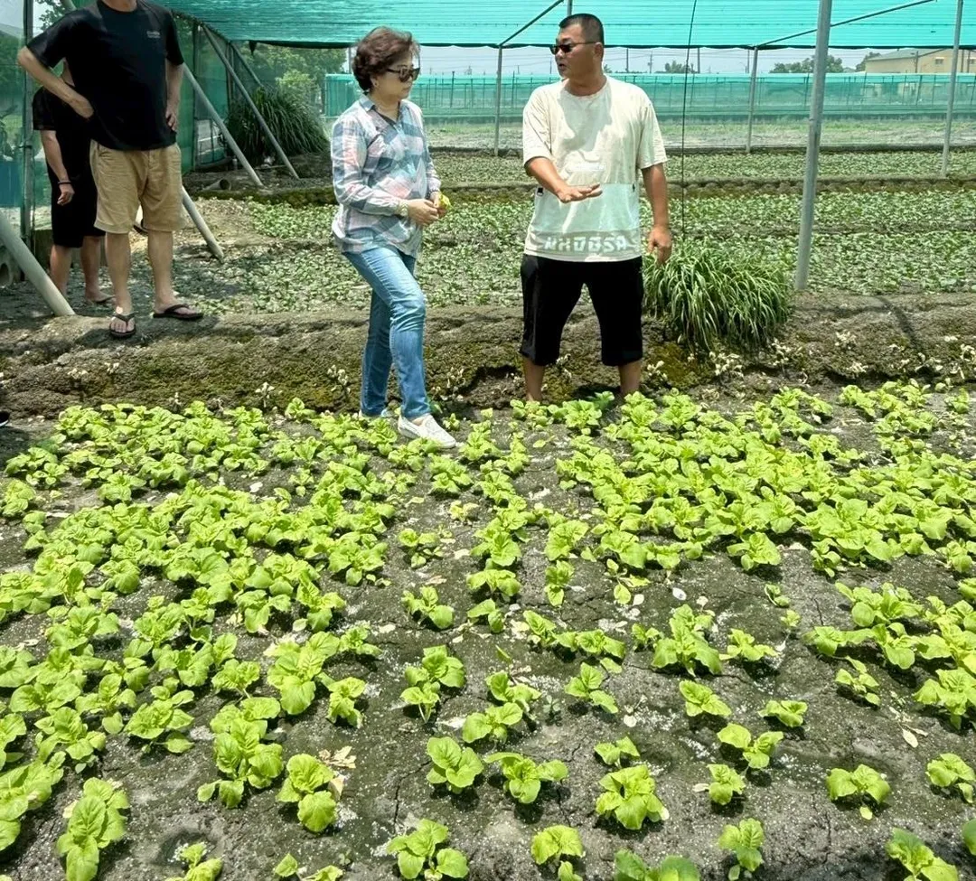 中南部受到風災產生嚴重農損。(示意圖/新北果菜公司官網)