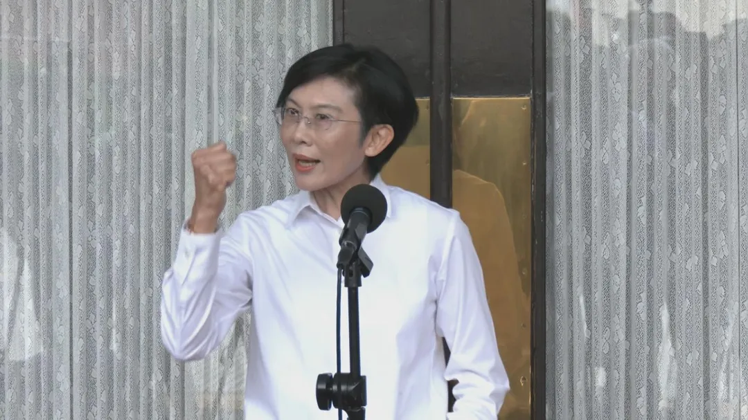民進黨立委林岱樺。（資料照／中天新聞）