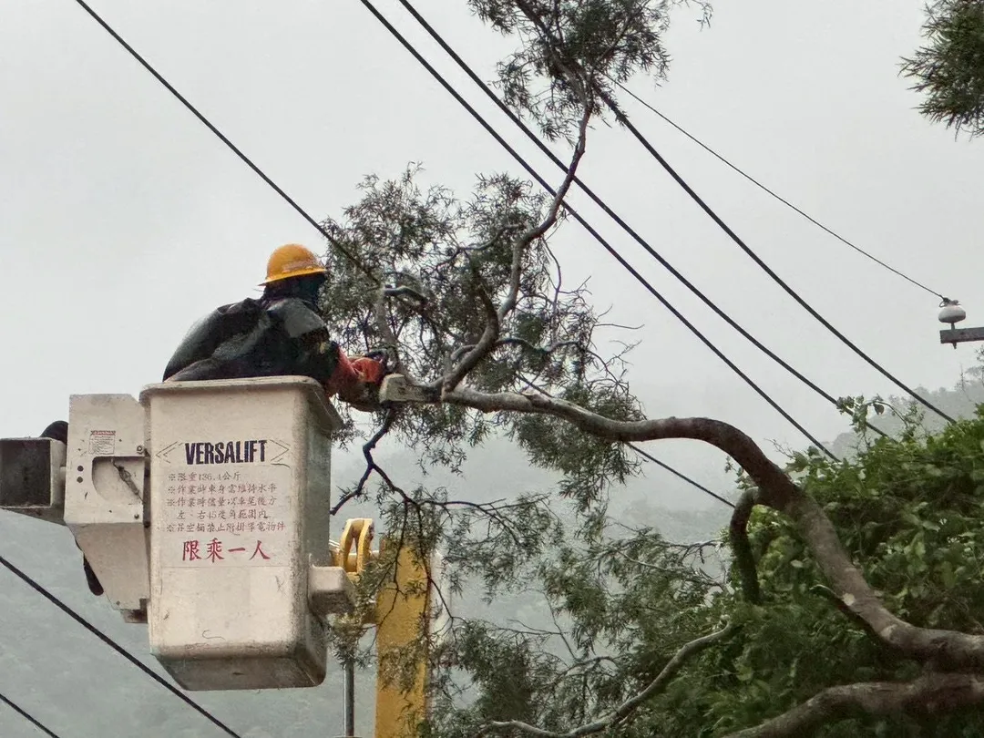 屏東縣牡丹鄉稍早也有樹木傾倒造成高壓斷線狀況。（圖／台電提供）