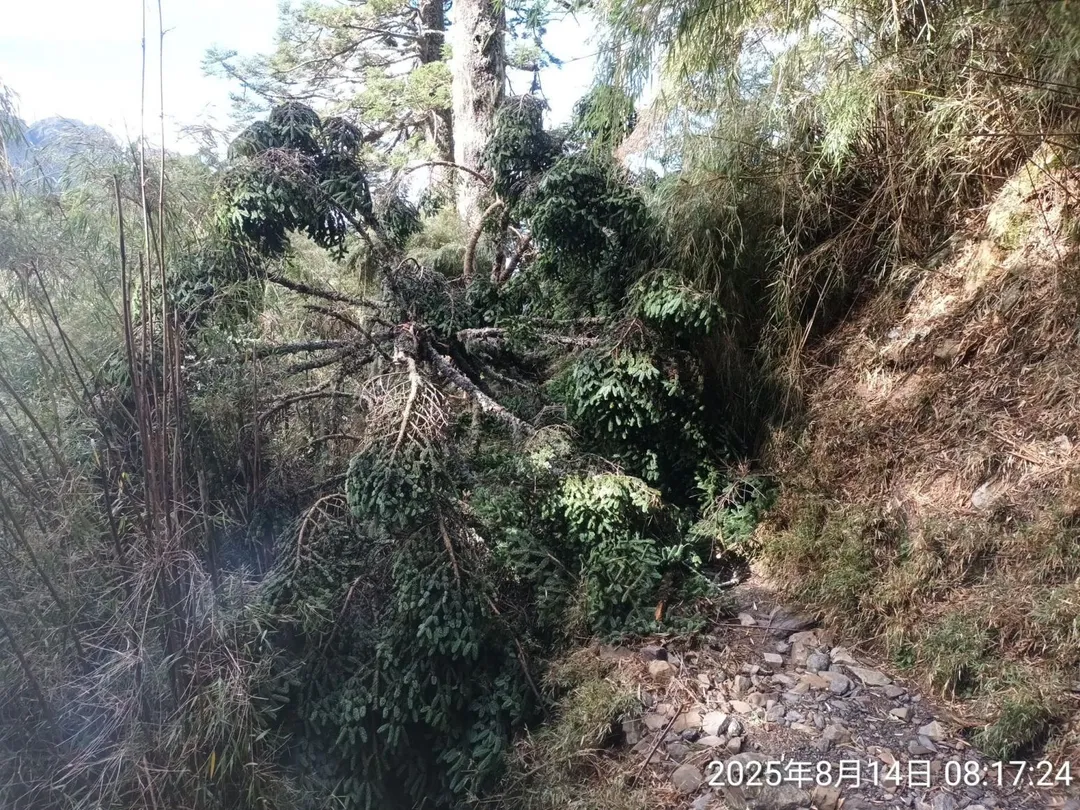 玉管處持續封閉玉山線步道進行災損評估與維修。(圖/翻攝自Facebook@玉山國家公園)