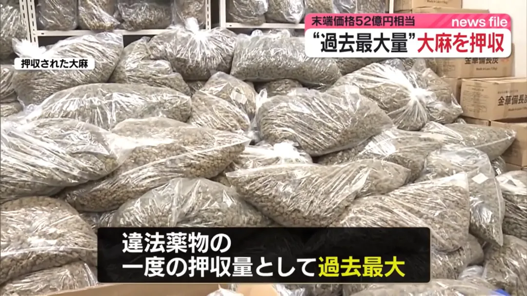 日本當局最近查獲1樁大麻走私案，這批大麻重逾1公噸打破71年紀錄。（圖／NTV）