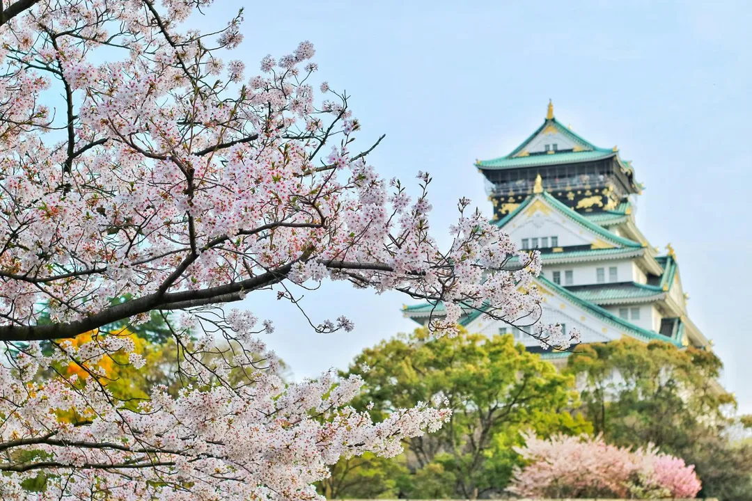 赴日旅客人數雖仍居國人出國目的地之冠,但成長率已從2024年同期的71.25%大幅下滑至11.81%。(示意圖/pexels)