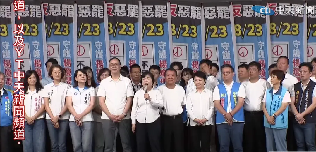 楊瓊瓔17日反罷活動。（圖／中天新聞）