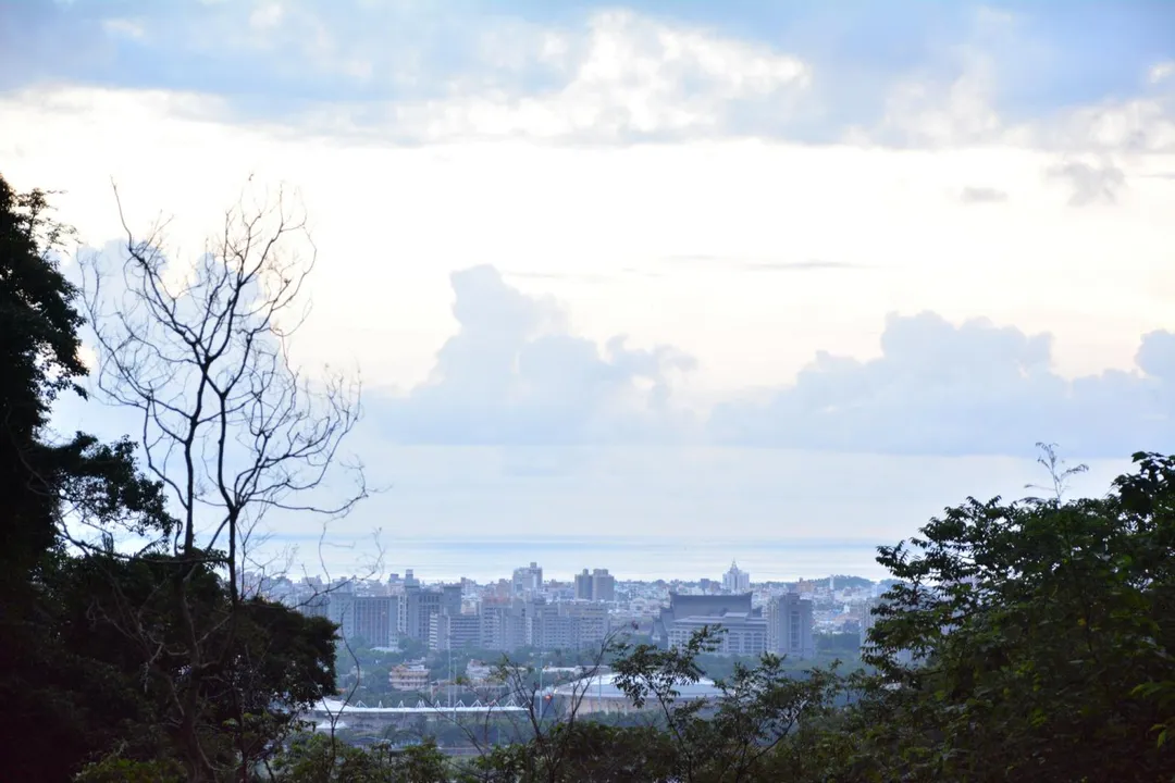 佐倉步道優美風景。（圖／花蓮市觀光資訊網）