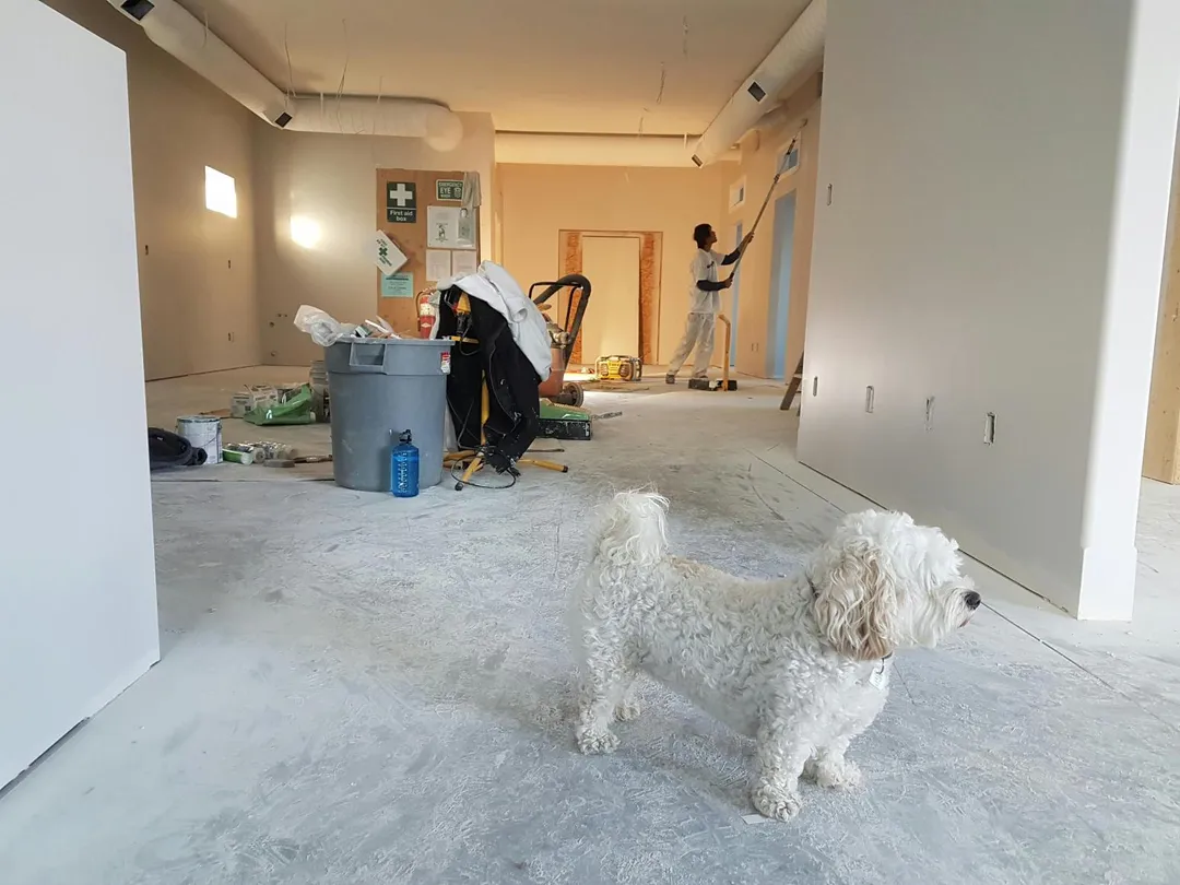 雙子座本週可考慮搬遷或居家佈置更新，讓環境更為舒適。（示意圖／pexels）