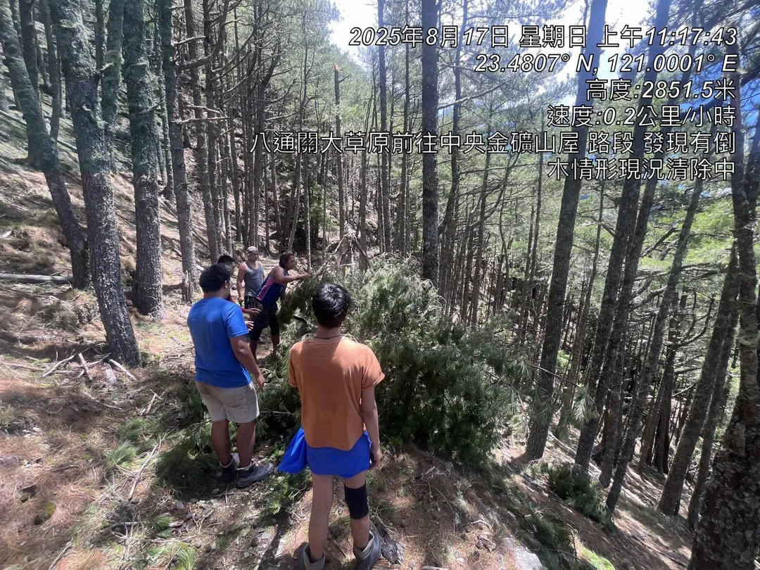 八通關大草原通往中央金礦山屋路段也有倒木需要清除。(圖/翻攝自Facebook@玉山國家公園)
