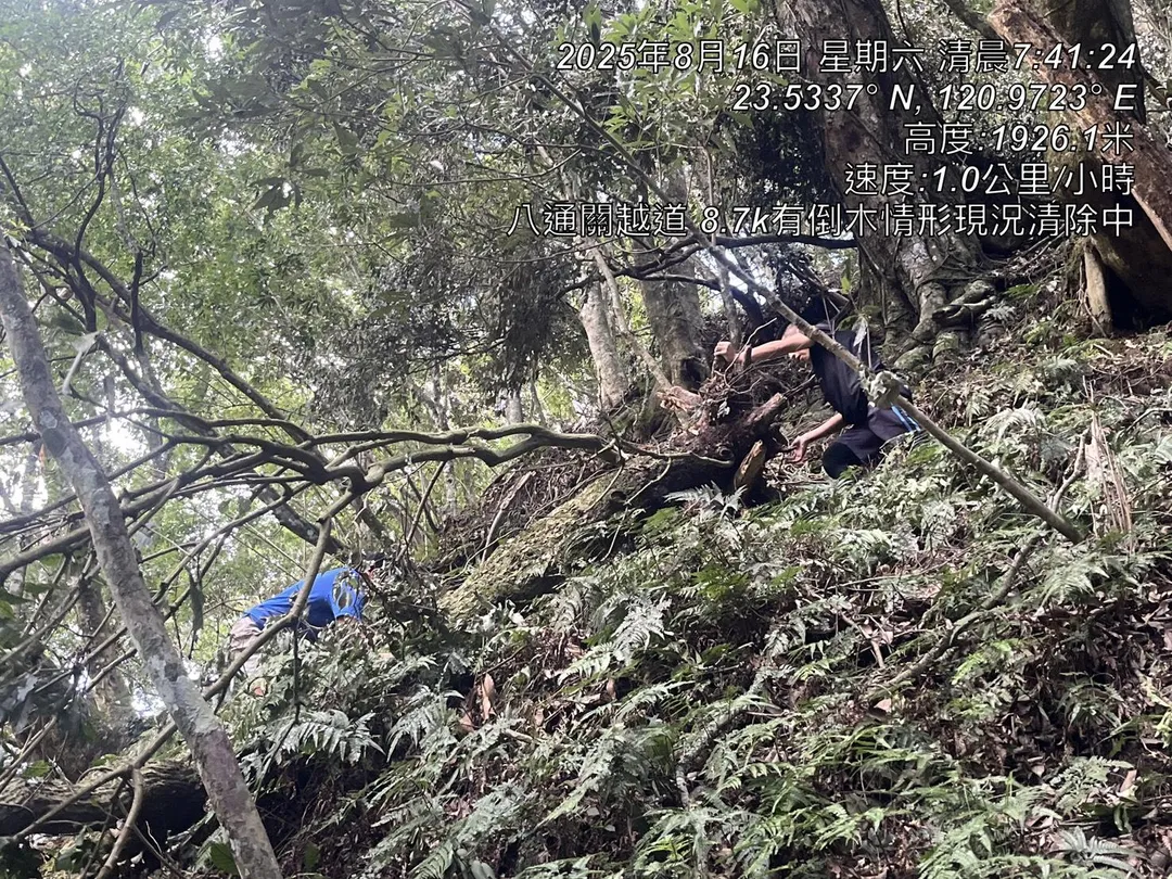 八通關越道8.7K仍在清除倒伏樹木。(圖/翻攝自Facebook@玉山國家公園)