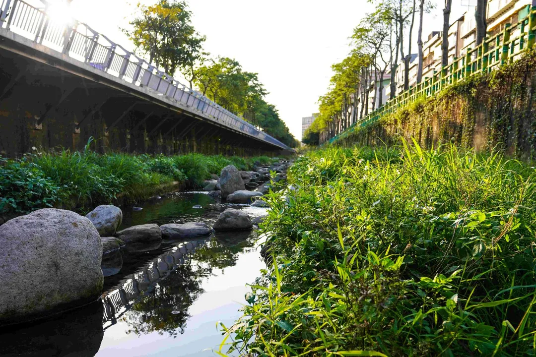 藤寮坑溝一期運用砌石工法創造河道蜿蜒與急緩流變化。（圖／新北市水利局提供）