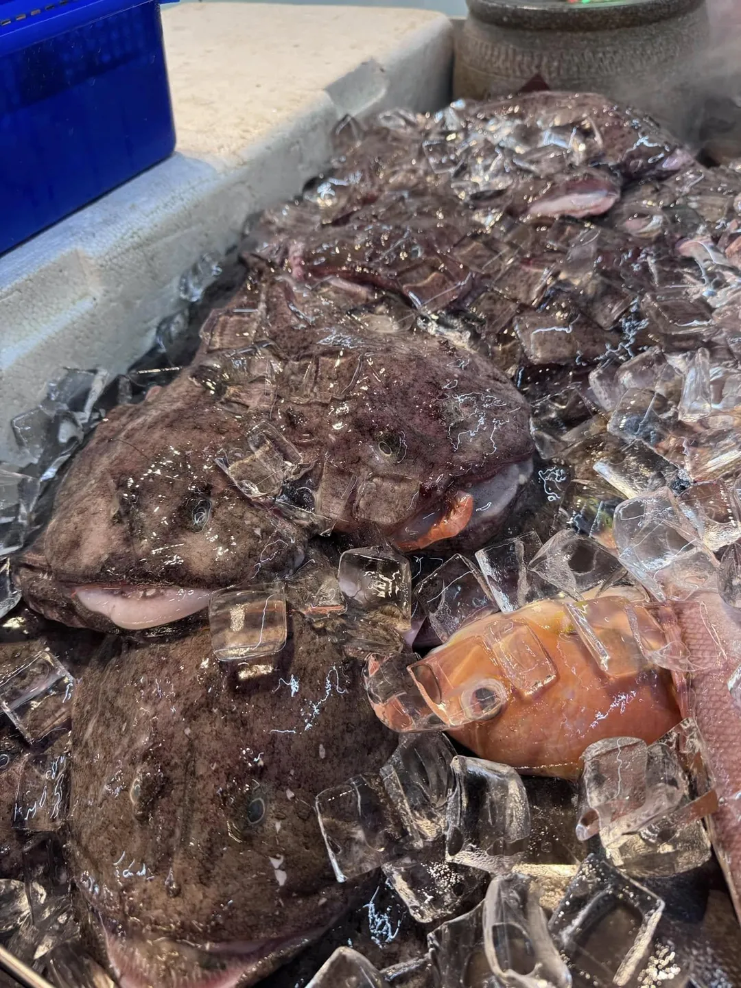 林口海世界複合式碳烤主打新鮮漁獲吃到飽。（圖／翻攝林口海世界複合式碳烤臉書）