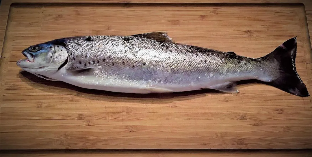 鮭魚、鮪魚、鯖魚等魚油豐富的魚類，或是添加維生素D的牛奶、起士等，都是維生素D的良好來源。（示意圖／Pixabay）