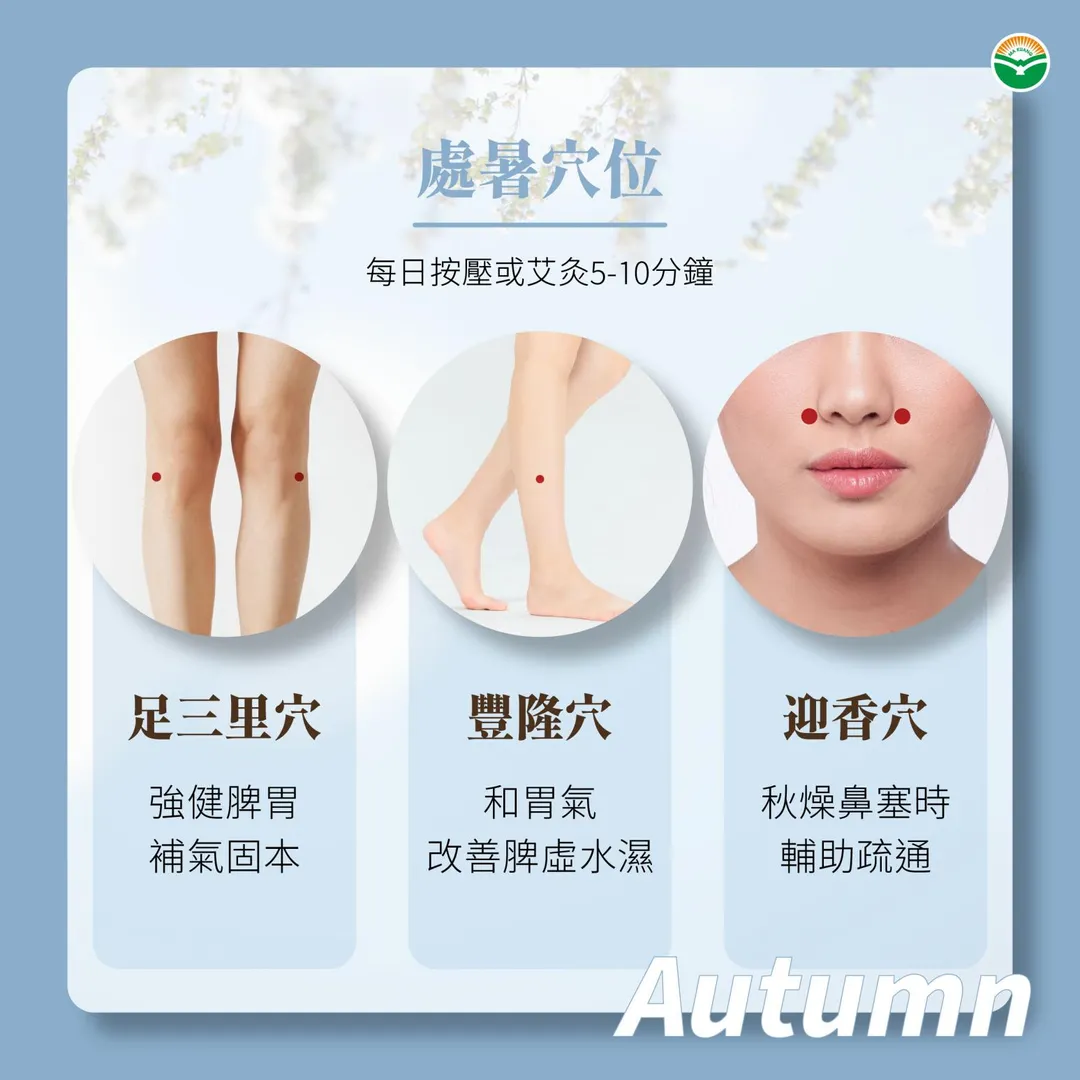 穴道保養。（圖／馬光中醫診所）
