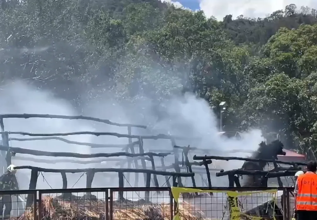 台東卑南文化公園25日中午進行史前家屋修復工程時,煙燻茅草的火星點燃各處火勢。(圖/中天新聞)
