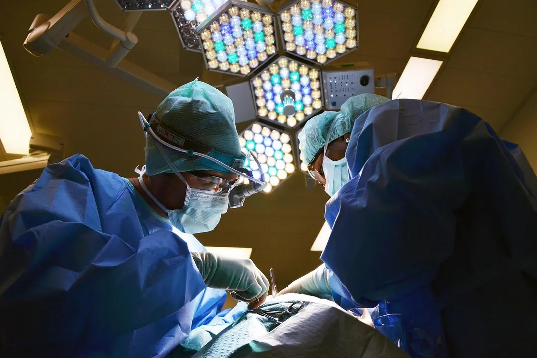 全球首例成功將基因編輯豬肺移植至腦死亡人體的案例。（示意圖／Pixabay）