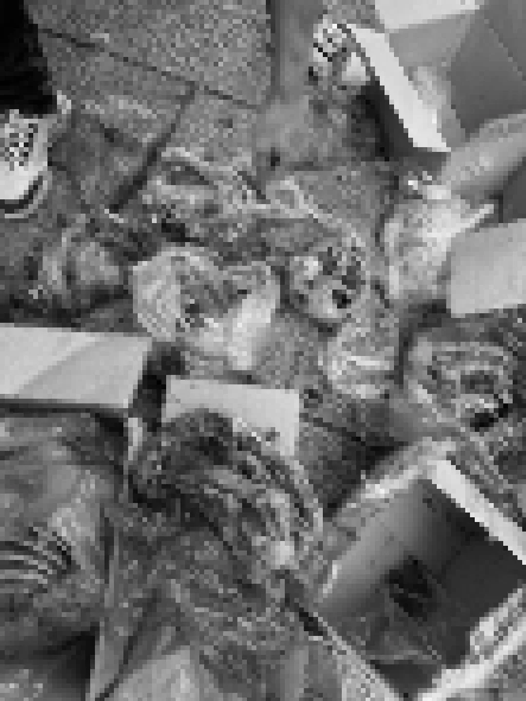 相關單位查獲許多小包肉排或肉塊，但無法現場辨別是貓或狗又或是其他動物。（圖／中天新聞）