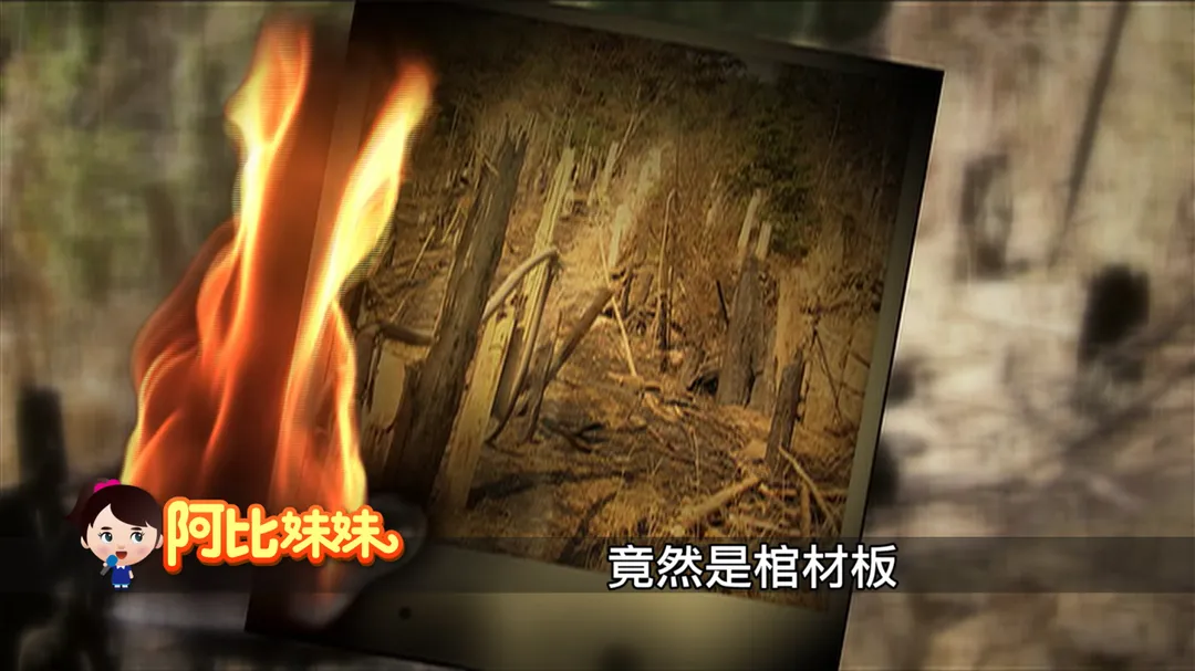 台中市新社區有片山坡插滿百片棺材板當棚架種水果。（圖／中天新聞）