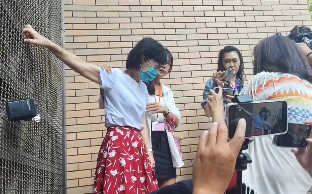 陳佩琪4日前來北院。（圖／中天新聞）