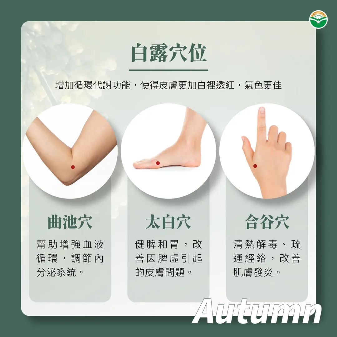 藉由穴位的按摩也具有美白的效果，主要的原理是增加皮表的循環代謝功能。（圖／馬光中醫）