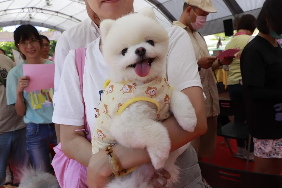 新北攜手佛光山辦理中元動物聯合法會,超過50位飼主帶著毛寶貝參加祈福法會。(圖/新北動保處提供)