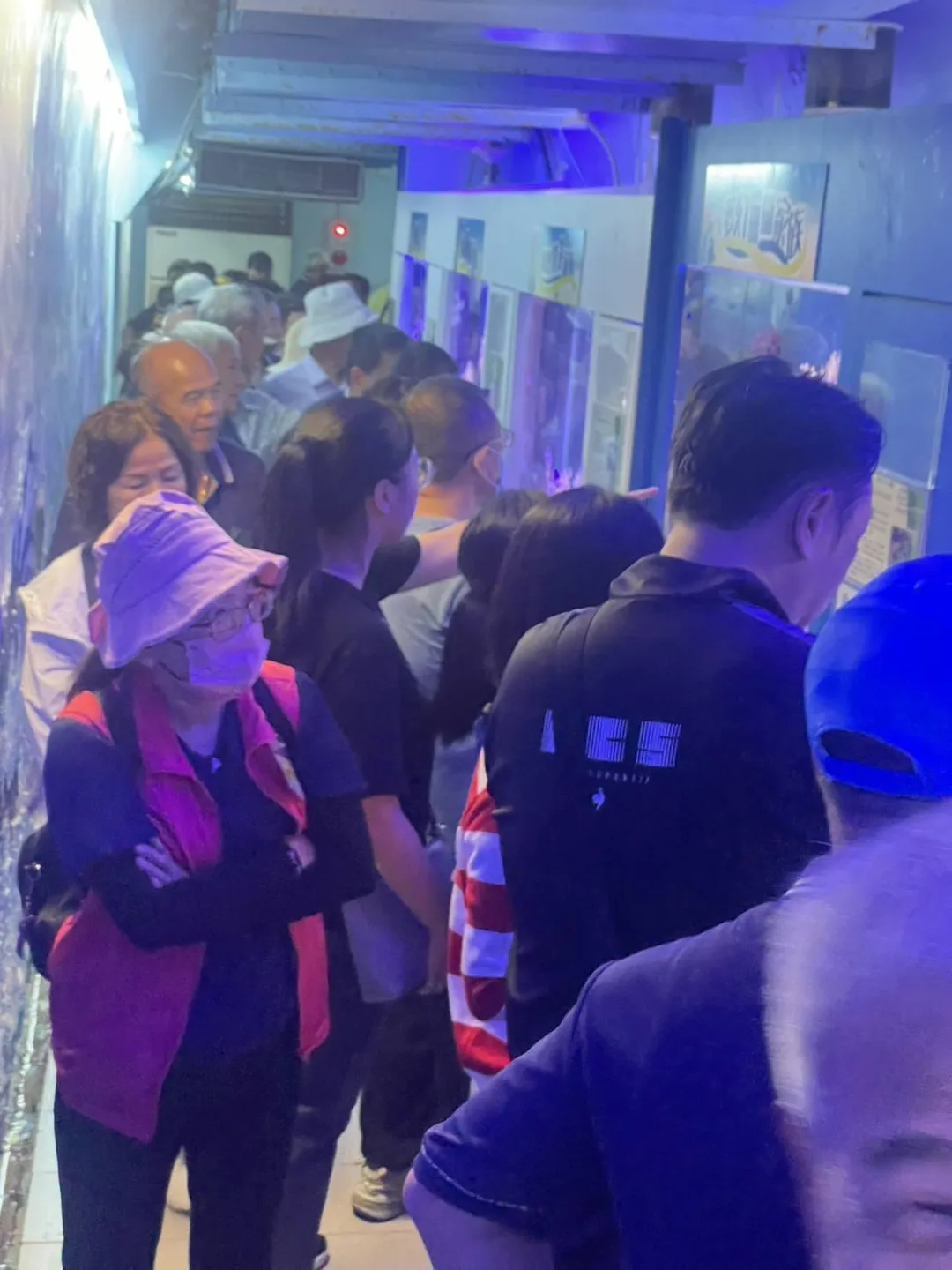 海洋奇珍園飼養超過500隻海洋生物，吸引許多遊客前來參觀。（圖／翻攝自澄清湖海洋奇珍園 臉書）