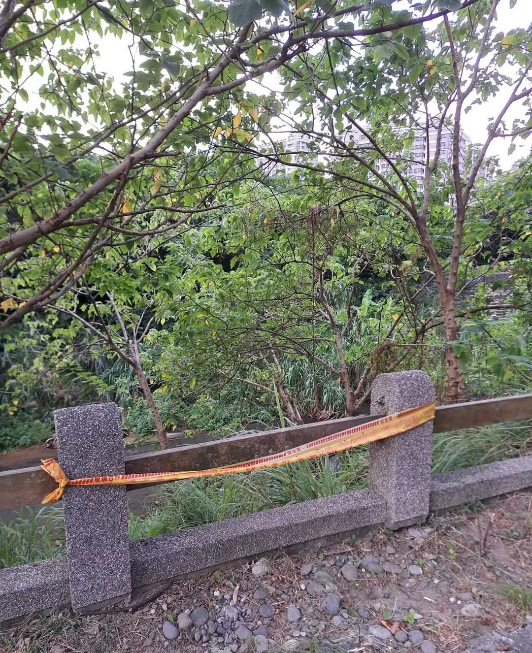 七旬的李姓男子靠著護欄休息，護欄因老舊斷裂。（圖／警方提供）