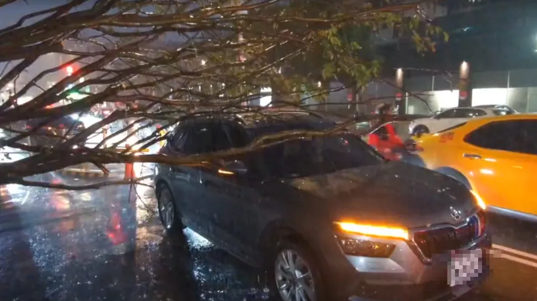 台中市今（7）日下午遭遇大豪雨襲擊，西屯驚傳路樹倒塌意外。（圖/翻攝畫面，下同）