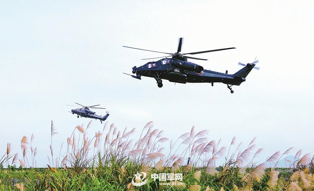 大陸的武直10攻擊直升機。(圖/中國軍網)