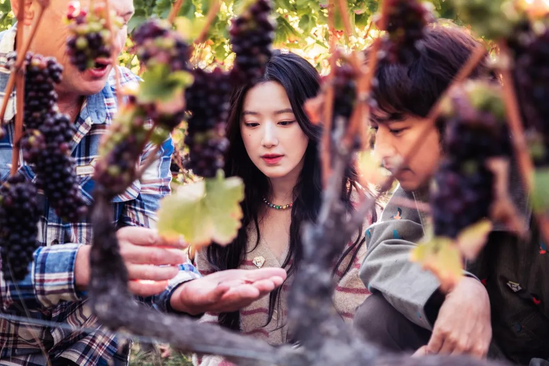 陳柏霖（右）、舒華（中）向酒莊主人學習有關葡萄的知識。（圖／《出去一下》提供）