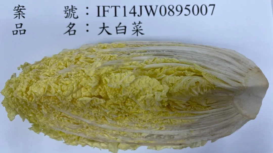 食藥署本周例行公布的邊境檢驗不合格名單中，越南大白菜被檢出農藥殘留超標。（圖／食藥署）