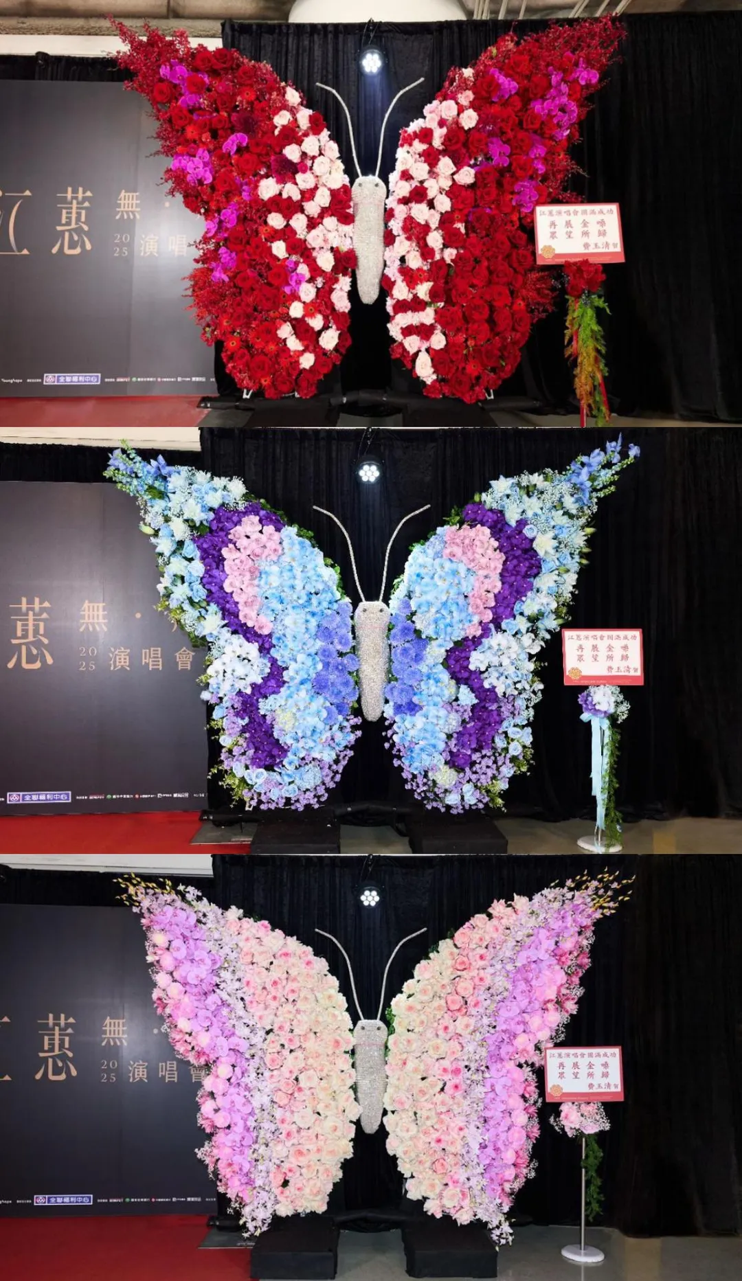 費玉清近日獻蝴蝶花禮伴江蕙開唱。（圖／寬宏藝術提供）