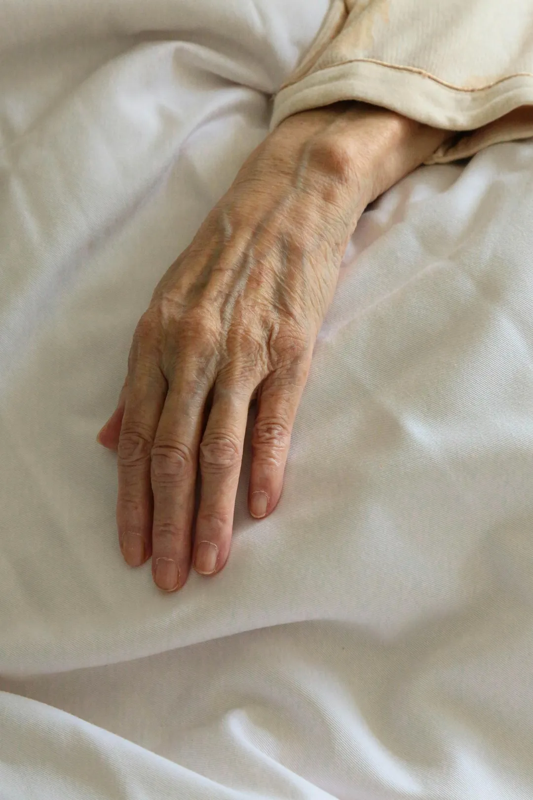 選擇登記「尊嚴死」的65歲以上長者佔總數逾三分之二。（示意圖／unsplash）