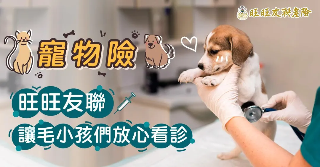 毛小孩也需要保險! 提供門診.住院和手術等醫療保障（圖/旺旺友聯提供）