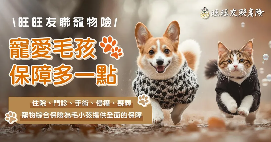旺旺友聯寵物險的醫療費用 把門診、手術跟住院的費用區分申請（圖/旺旺友聯提供）