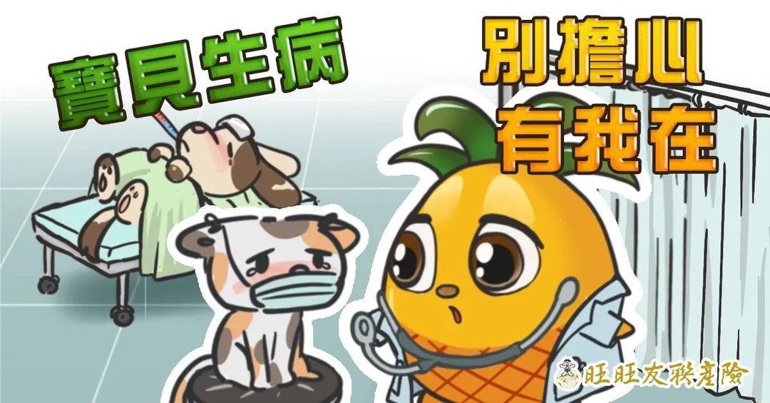網路投保優惠多 10/8前還可以再抽Switch2與現金獎（圖/旺旺友聯提供）