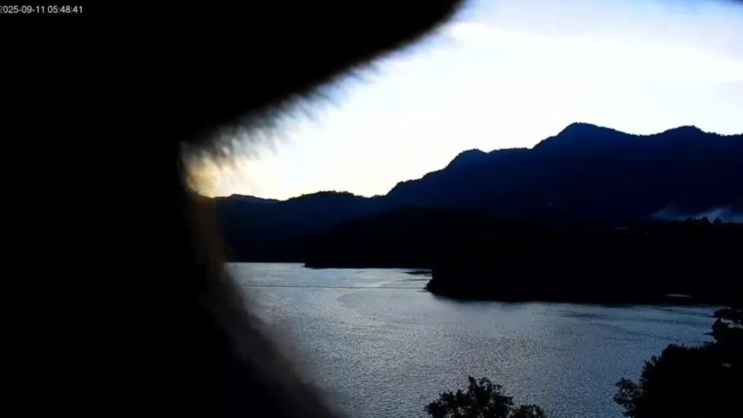 曾文水庫「鏡頭君」遭巴頭。（圖／翻攝自臉書／西拉雅國家風景區管理處）