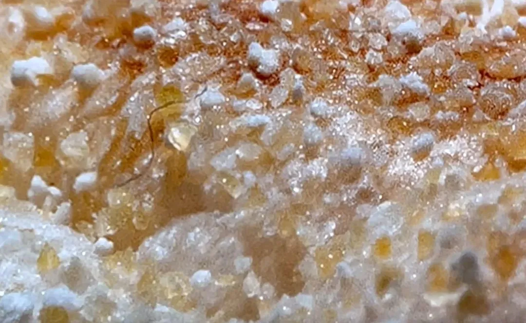 有民眾發現麥當勞的滿福堡廣告海報中，麵包上竟然有一根捲毛。（圖／翻攝Threads／apersonmy120）