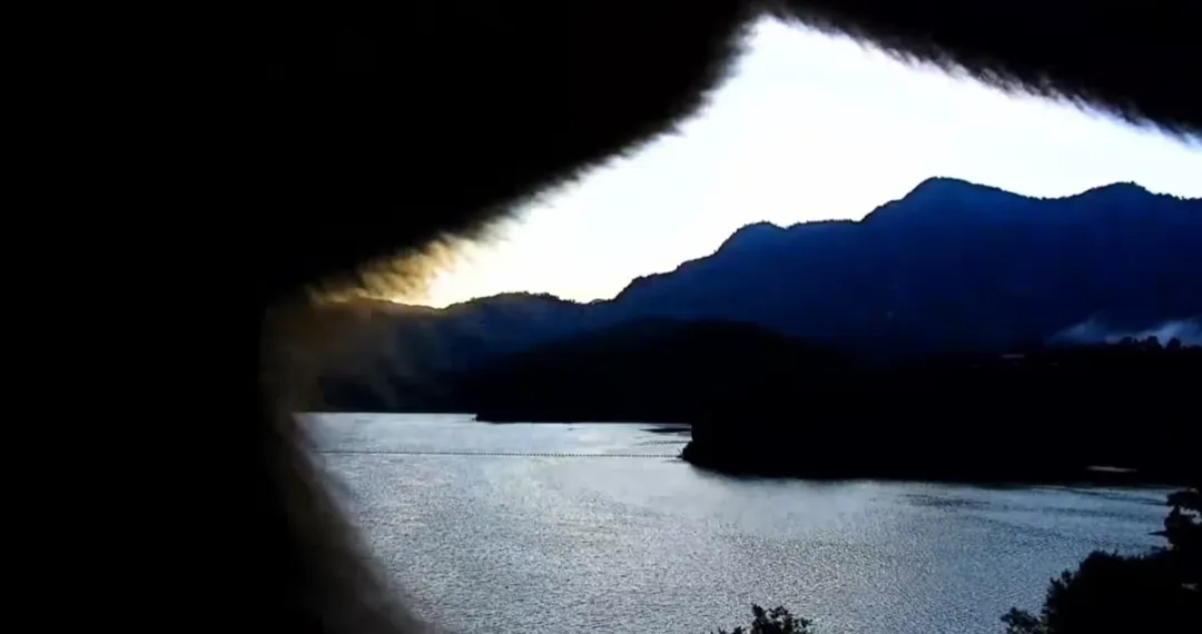 調皮的獼猴把鏡頭打歪。（圖／翻攝自西拉雅國家風景區管理處臉書）