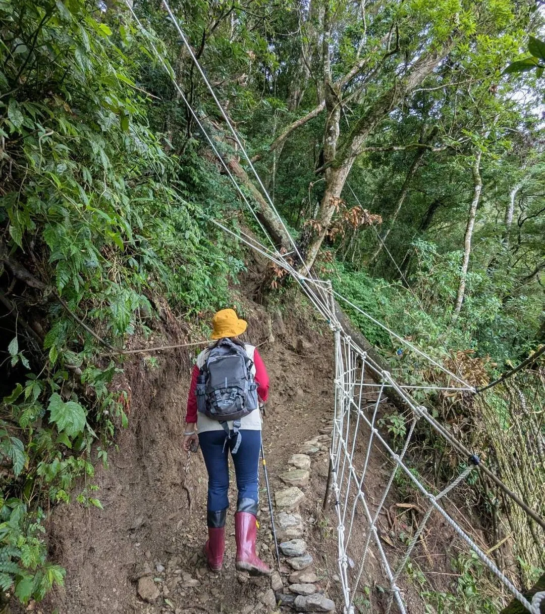 屏東北大武山步道因西南氣流豪雨影響，多處步道封閉搶修，目前進展順利。（圖／林保署屏東分署提供）