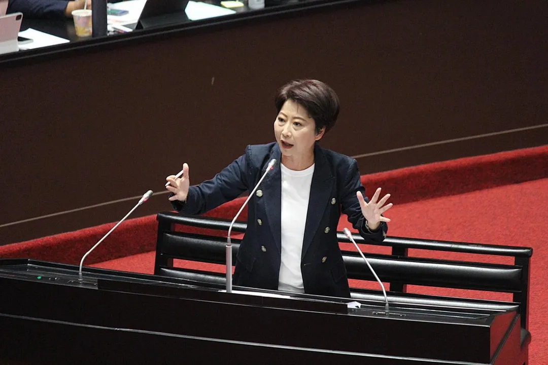 民進黨立委陳亭妃。（圖／陳亭妃臉書）